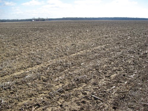 Property photo 17 - 127 Acres Offered in 4 Tracts